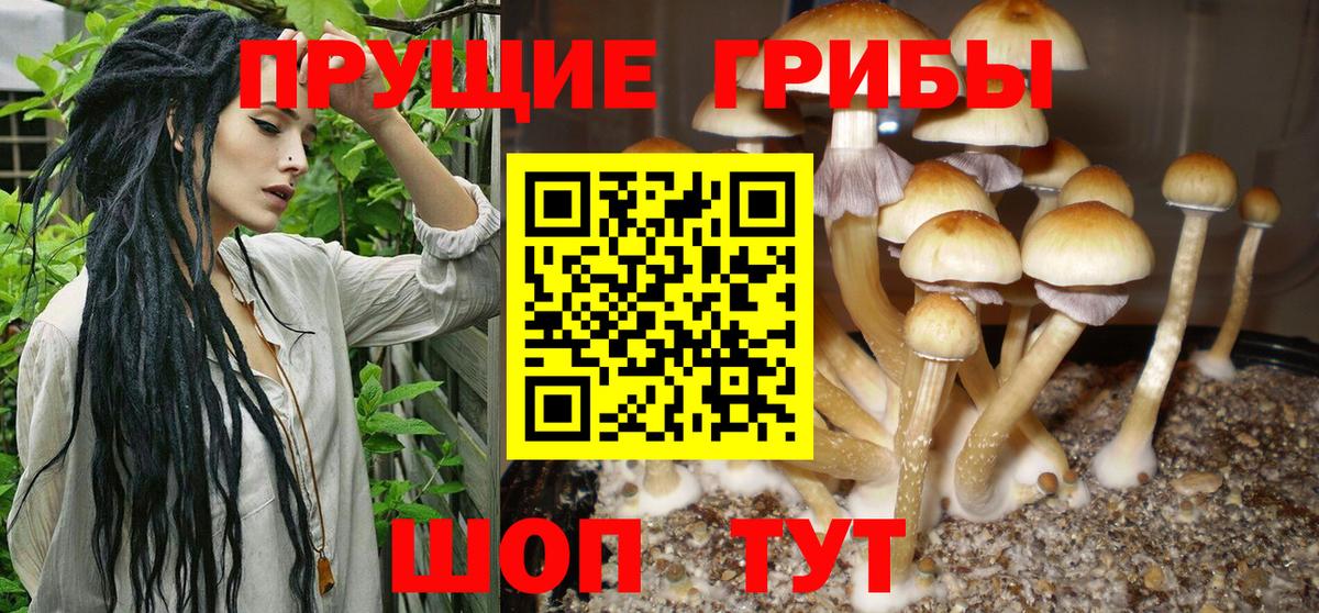 Псилоцибиновые грибы GOLDEN TEACHER  Псилоцибиновые грибы мухоморы  Вход с VPN  Лосино-Петровский 